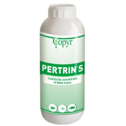  PERTRIN S Lt.1  - 45515 - F001841