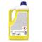 NEOPOL PIATTI GEL AGRUMI CON ANTIBATTERICO Lt.5 SANITEC in Detergenti