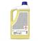 CERA Kg.5 SANITEC in Detergents