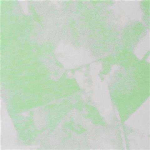  CARTA PELLEAGLIO SPATOLATO VERDE Cm.75x100 Kg.1 (Cartone da Kg.10)  - 44570 - F001559