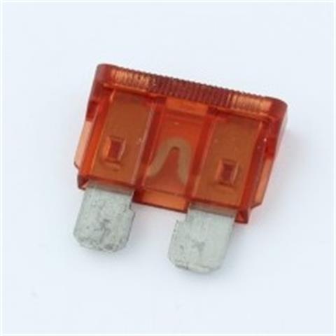 Integr.Prof.Cleaning IPC GANSOW CT 30 - FUSIBILE A LAMA 40 A Integr.Prof.Cleaning - 44393 - F001251