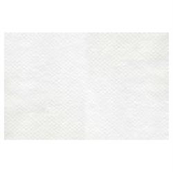 PLACEMATS ECO BRANCO 33x50 cm 2500 peças