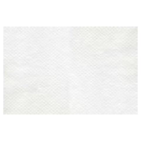 TOVAGLIETTE BIANCHE ECO Cm.33x50 Pz 2500  - 44880 - F001735